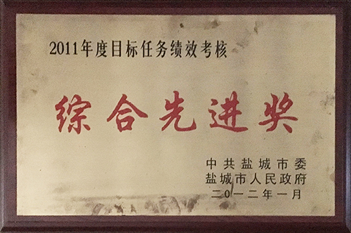 2012年1月目標(biāo)任務(wù)績(jī)效考核“綜合先進(jìn)獎(jiǎng)”.JPG